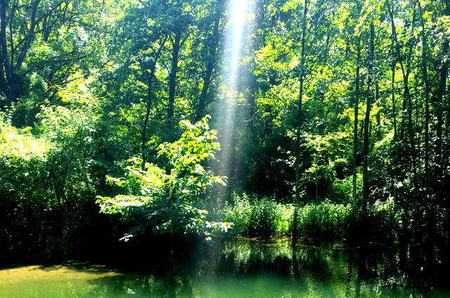 Mystischer Lichtwasserfall